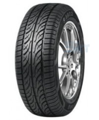 Autoguard SA602 195/65 R15 91H